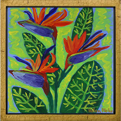 Bird of Paradise